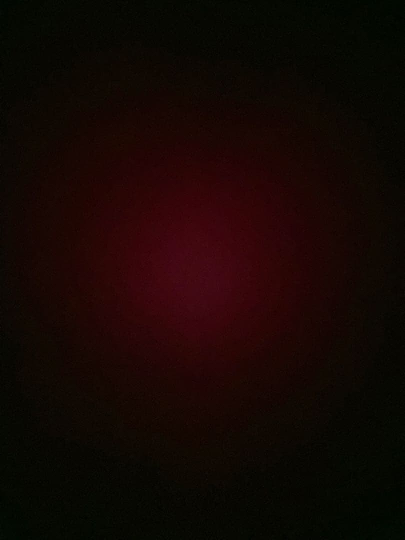 黄猿　クリアしおり