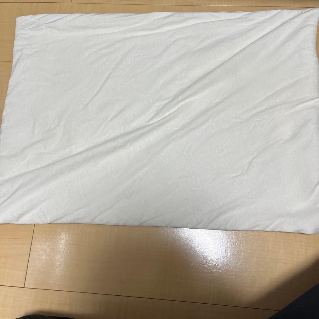 BRAIN SLEEP PILLOW STANDARD 枕、カバー、バッグセット