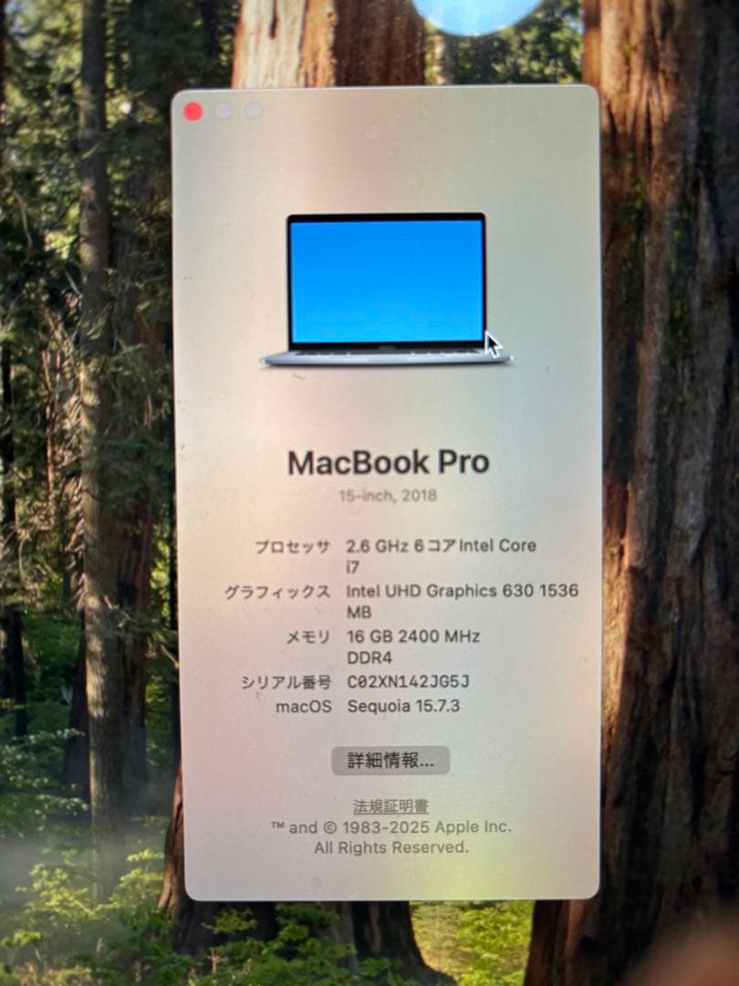 m*n様 MacBook Pro2018 バッテリー劣化品