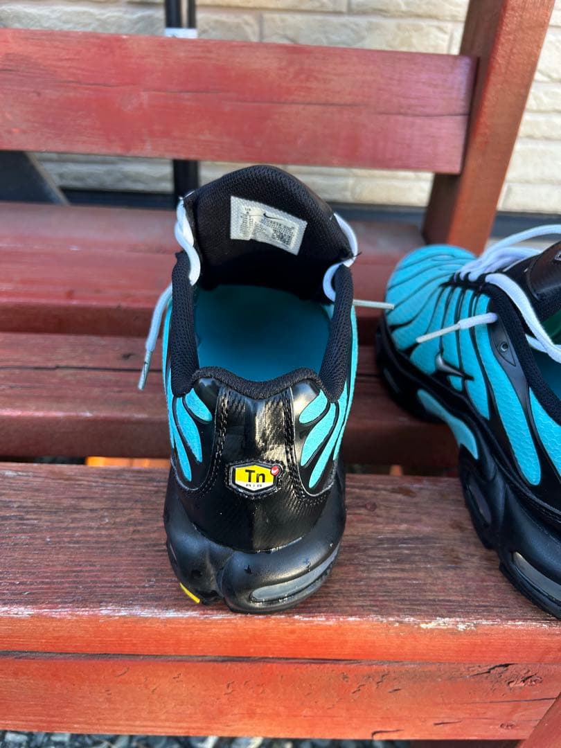 NIKE エアマックスプラス マップラ水色