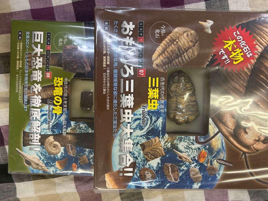【匿名配送】現状品　化石　鉱物　パワーストーン　ディアゴスティーニ　　まとめ