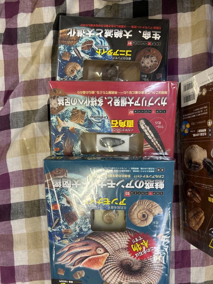 【匿名配送】現状品　化石　鉱物　パワーストーン　ディアゴスティーニ　　まとめ