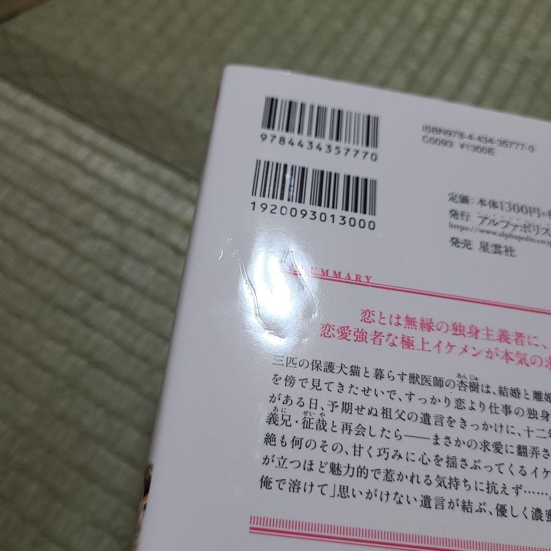 獣欲な副社長はツレない秘書を捕まえたい。