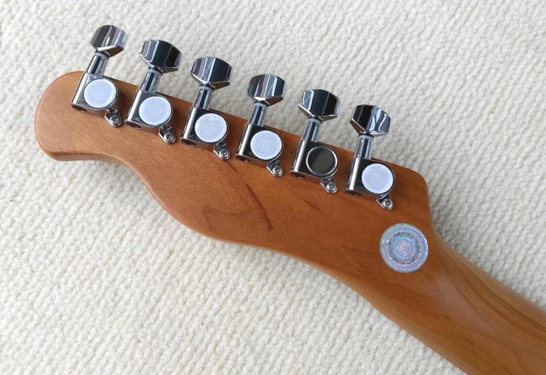 ✨本日限定✨BUCCHUS バッカス テレキャスター