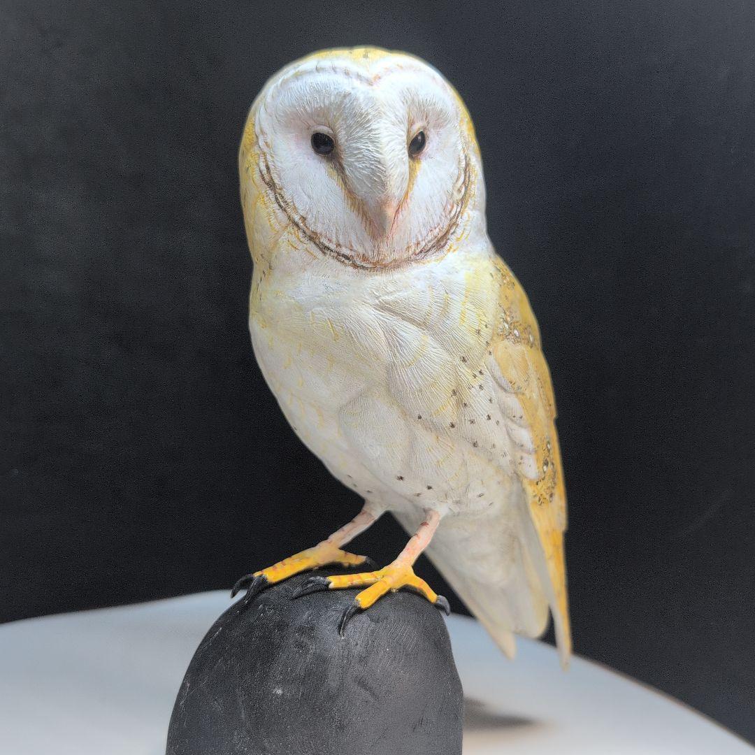 リアル　「メンフクロウ」　野鳥彫刻　 バードカービング　木彫りの野鳥