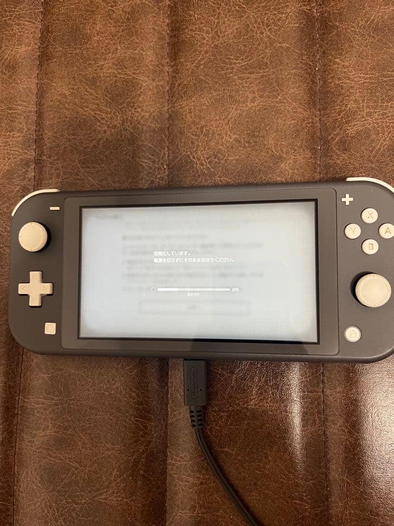 Nintendo Switch Lite 本体 動作確認済 箱あり