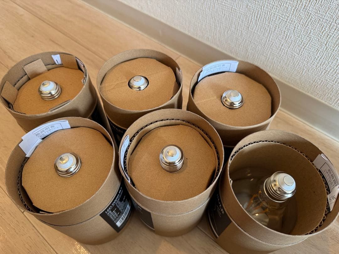 LED SWAN BULB BALL SWB-G200L E26 ×6個セット