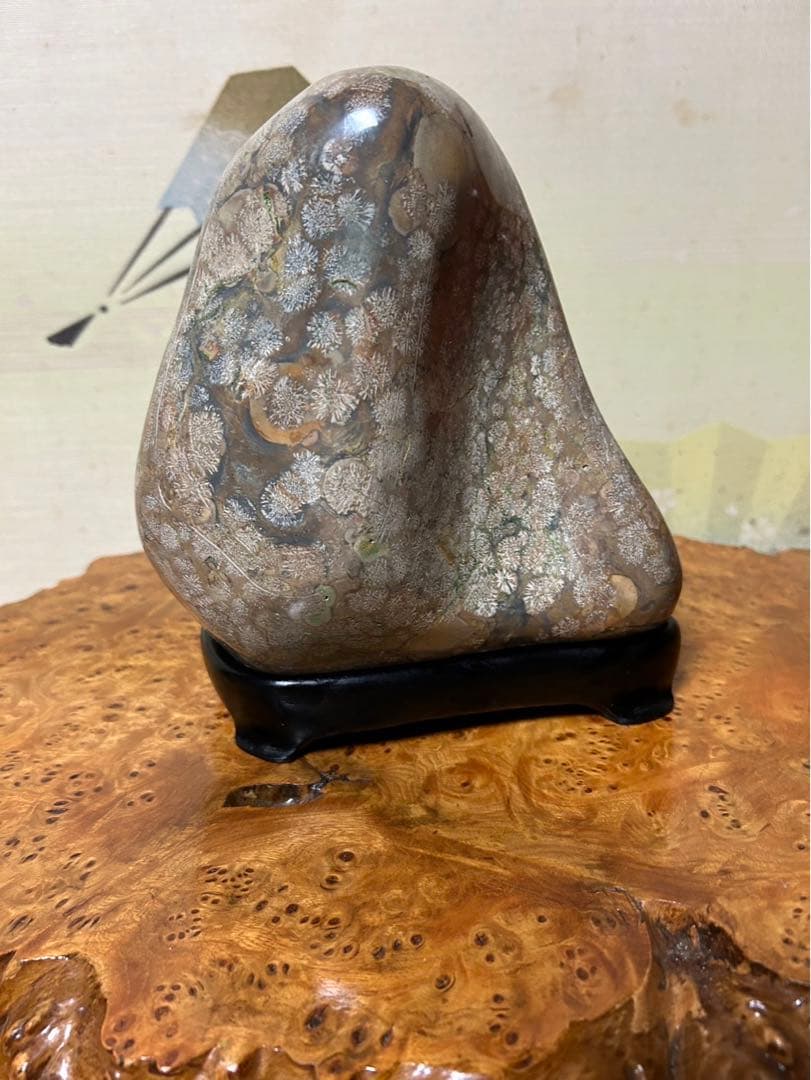 青森県　花紋石　花火　鑑賞石