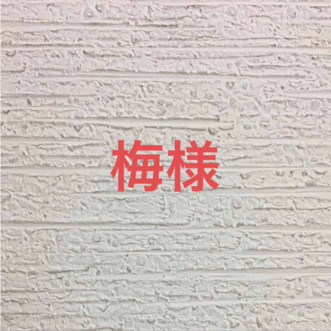 パピーラム3kg×2個