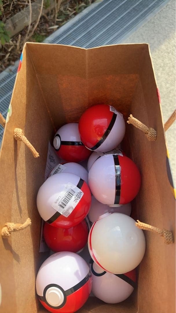 ポケパークカントー　ピンバッチ未開封10個+プレミアボール