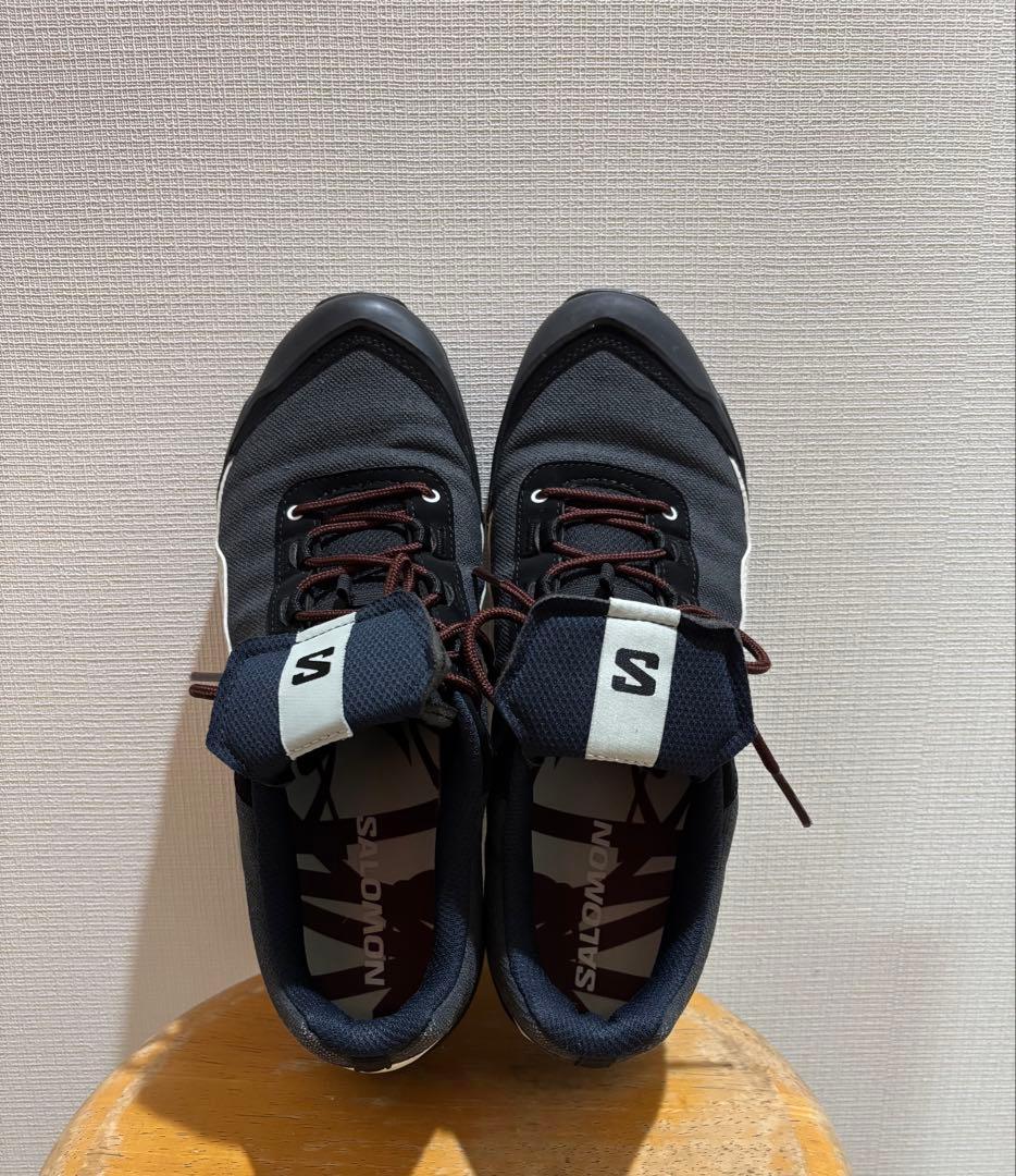Salomon × GR10R X-ALP ESIlL