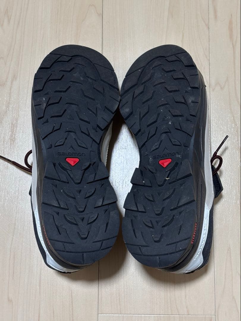 Salomon × GR10R X-ALP ESIlL
