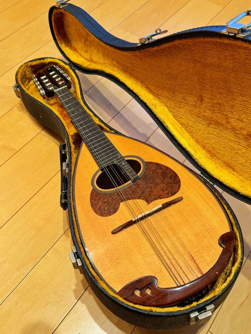 スズキ M-30 マンドリン ハードケース付き