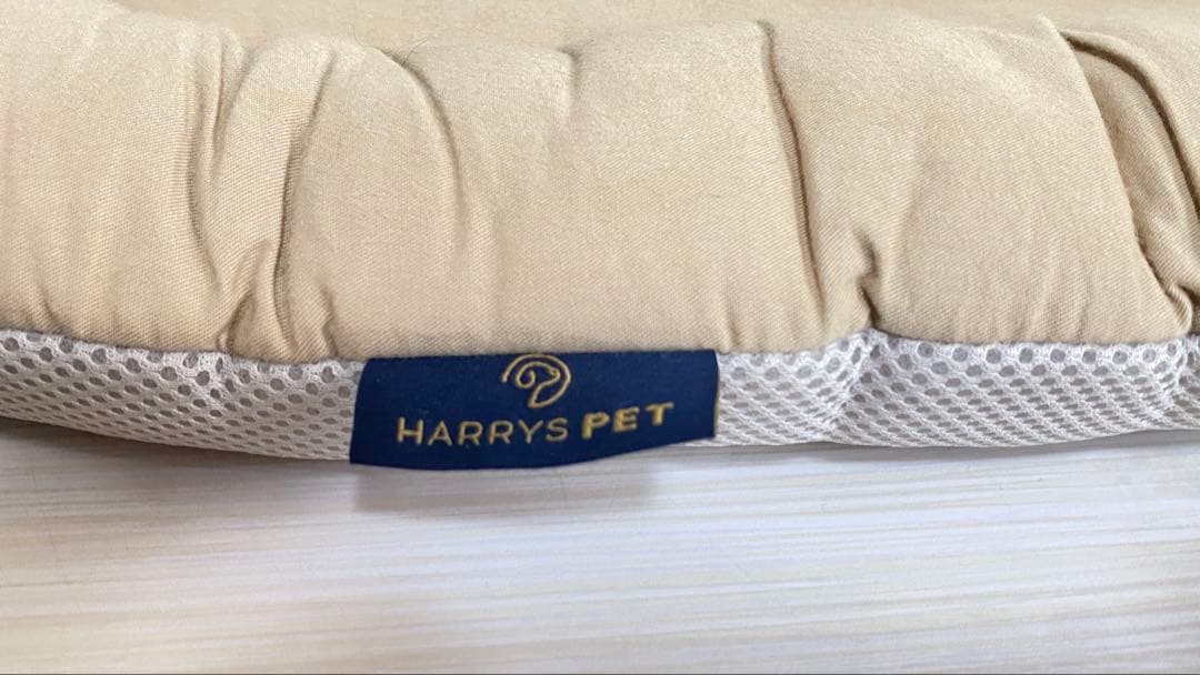 Angel.o728 　AIRBUGGY Dome3 レギュラーサイズ