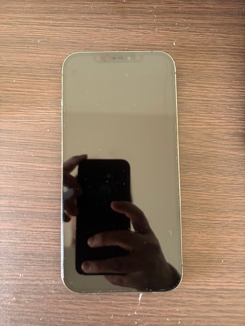 iPhone 12 Pro MAX ジャンク品