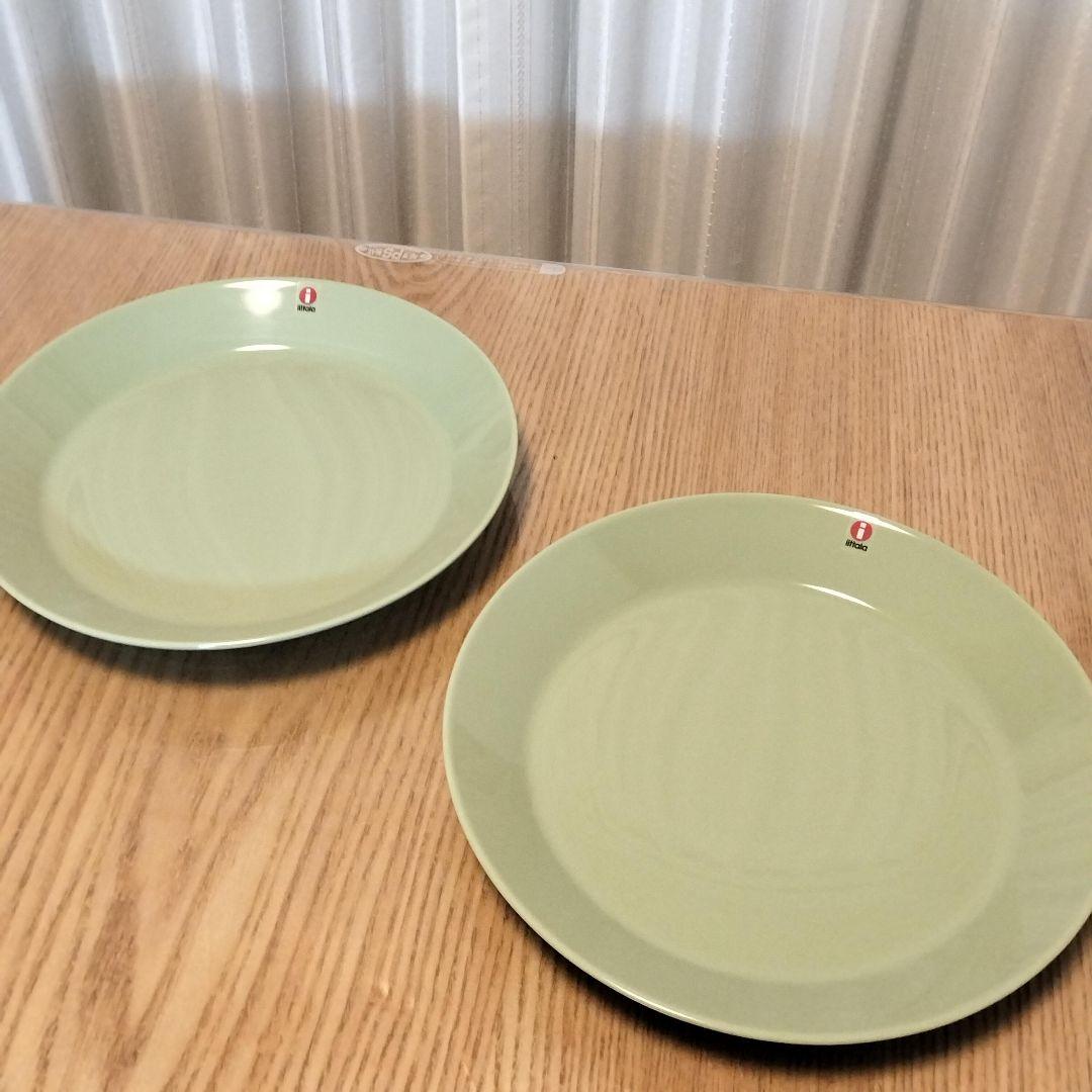 【廃盤色】 TEEMA 21cm プレート 2枚　セラドングリーン