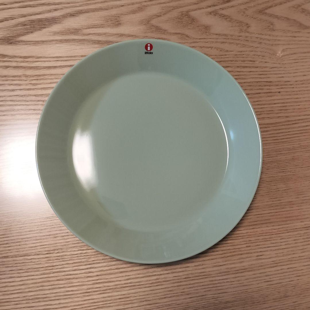 【廃盤色】 TEEMA 21cm プレート 2枚　セラドングリーン