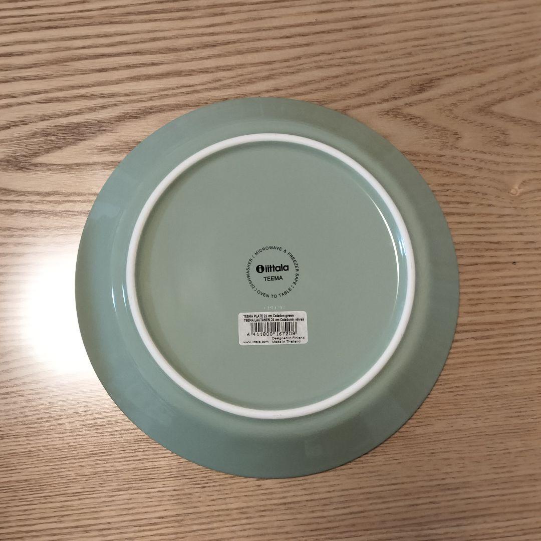 【廃盤色】 TEEMA 21cm プレート 2枚　セラドングリーン