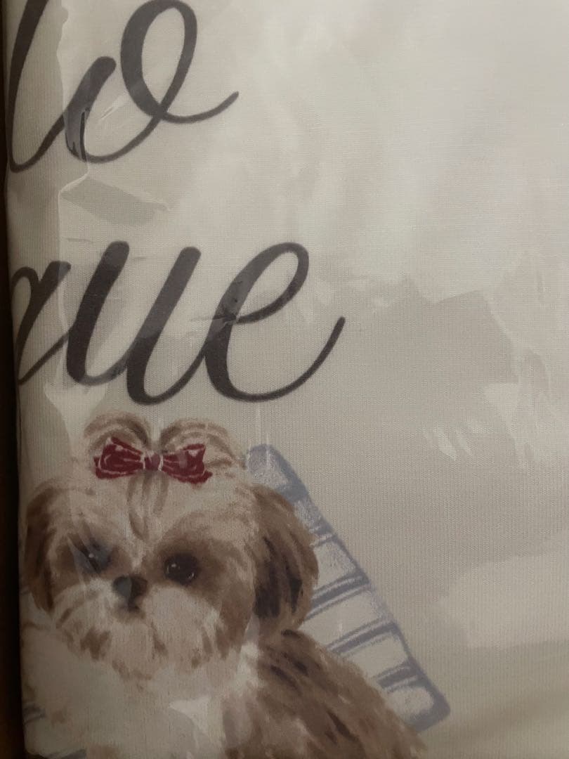 シーズーワンポイントロンT&シーズー柄ロングパンツ　オフホワイト上下セット