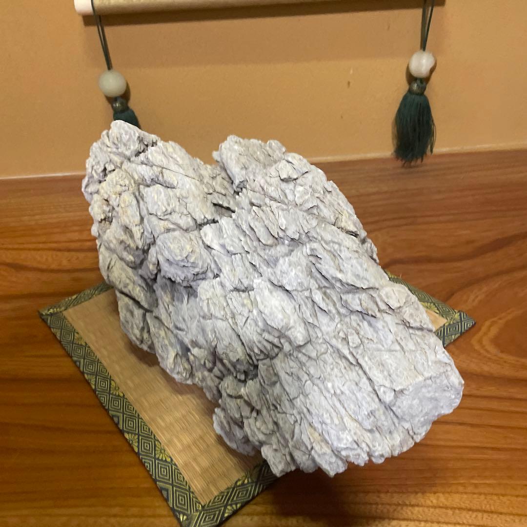 亀文石 水石 鑑賞石 庭石 アクアリウム【特大】