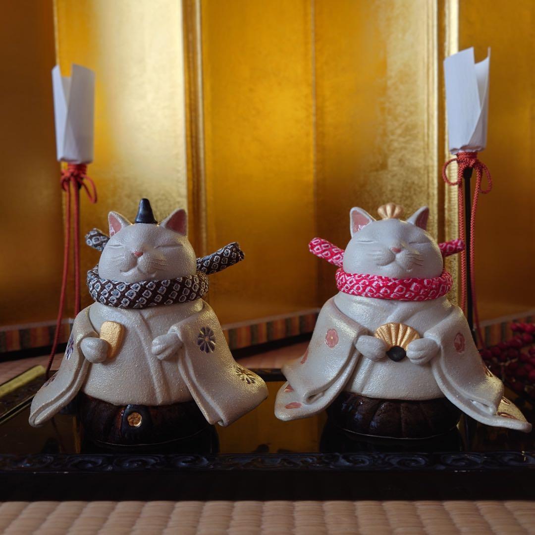 白猫♡白猫　猫雛【大】　m(=✧ω✧=)m ※首輪