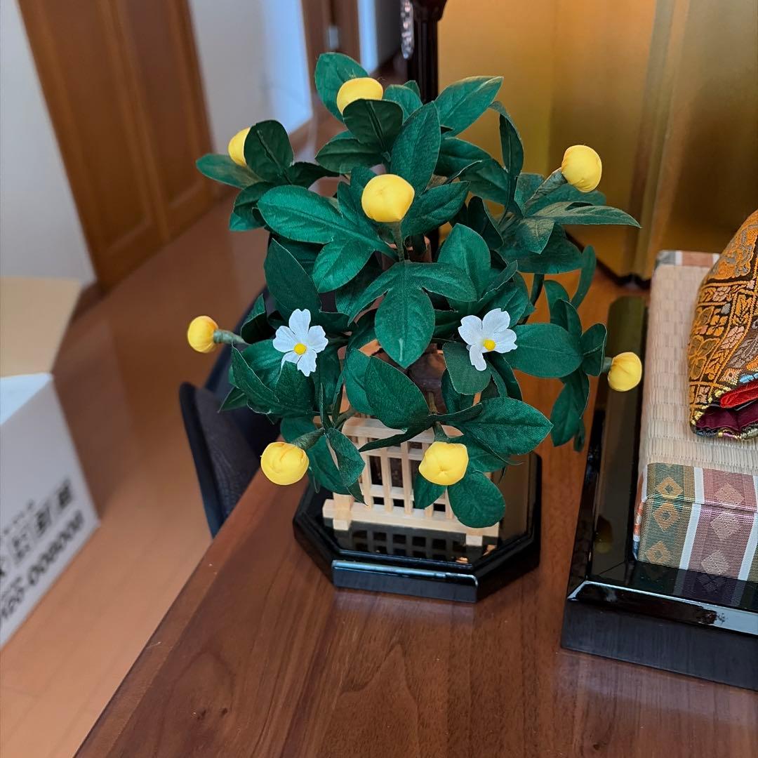 久月雛人形　十番親王飾り　草木染め