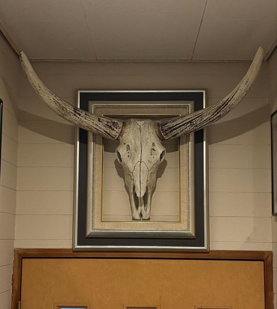 牛ハンティングトロフィーフレーム付き