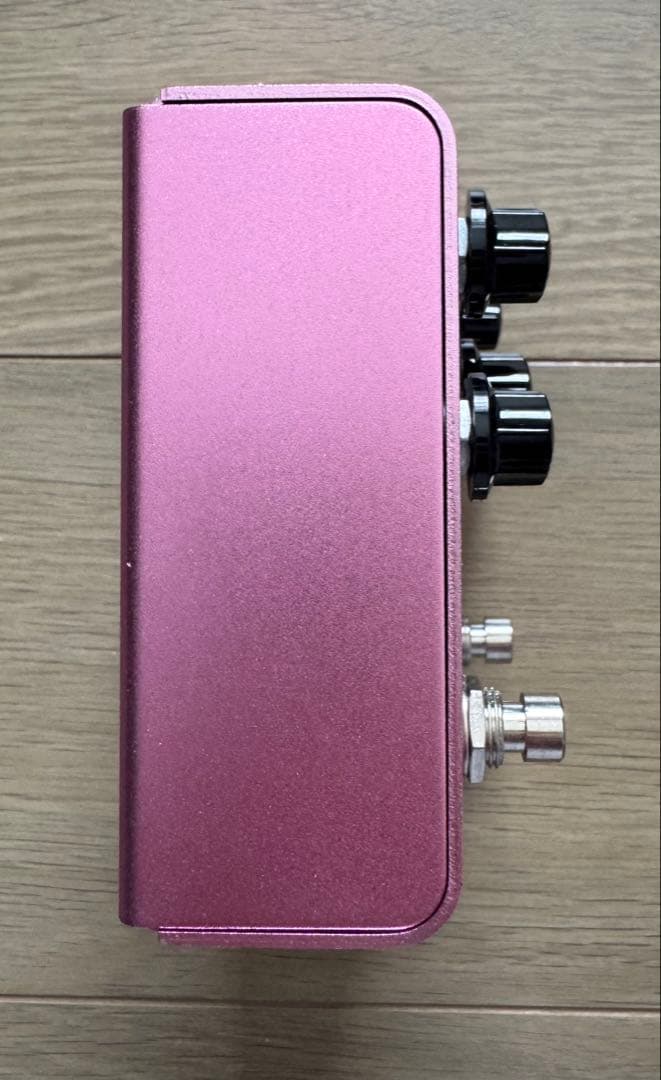 【美品】Strymon ストライモンDIG V2 ディレイ