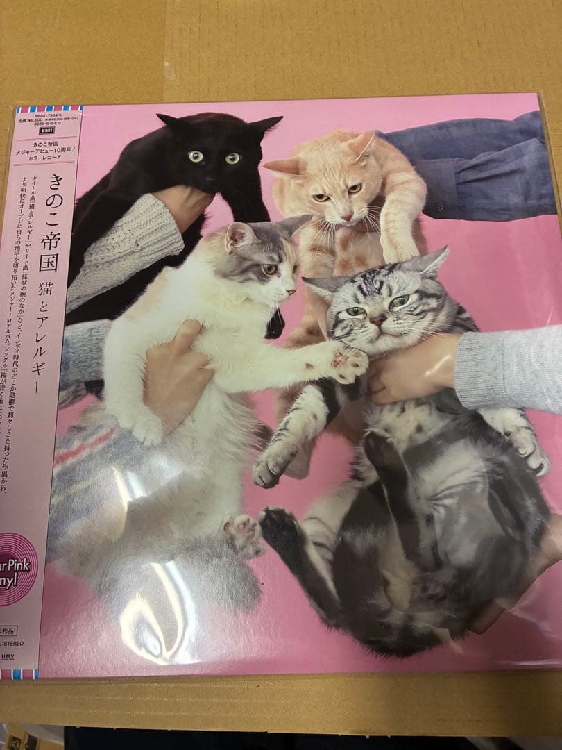 きのこ帝国 猫とアレルギー 限定盤クリアピンクヴァイナル仕様 レコード新品未開封
