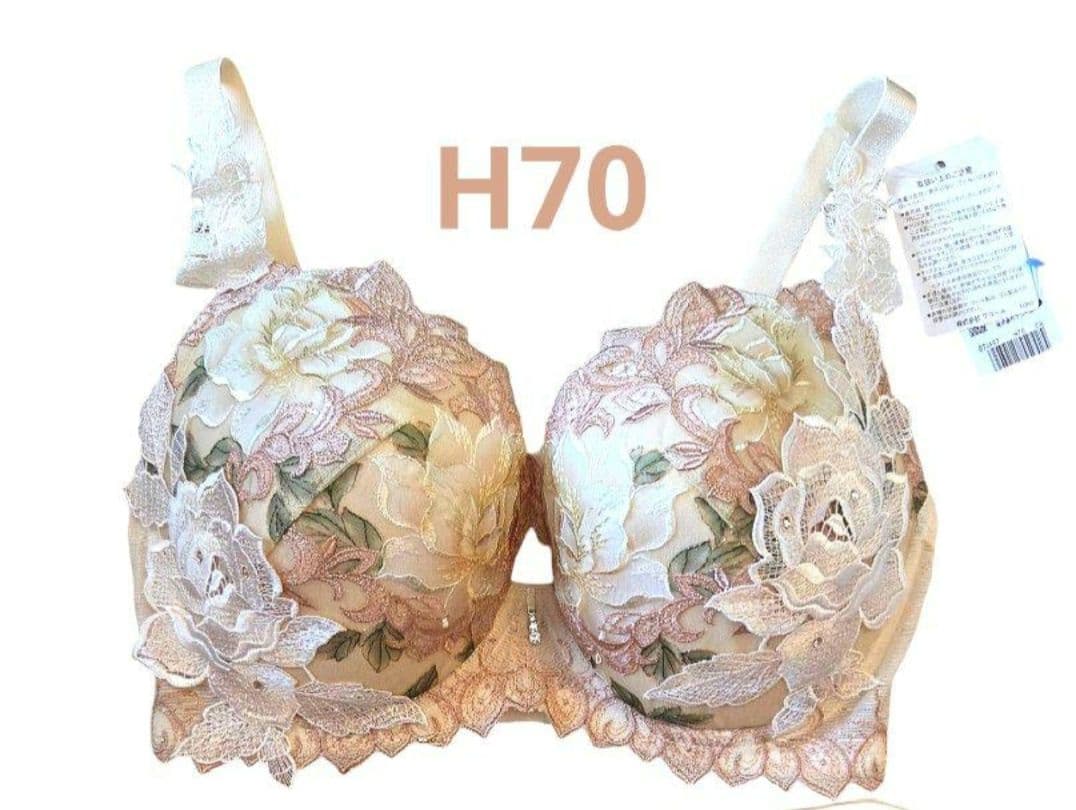 蝶々さま専用　ブラジャー H70