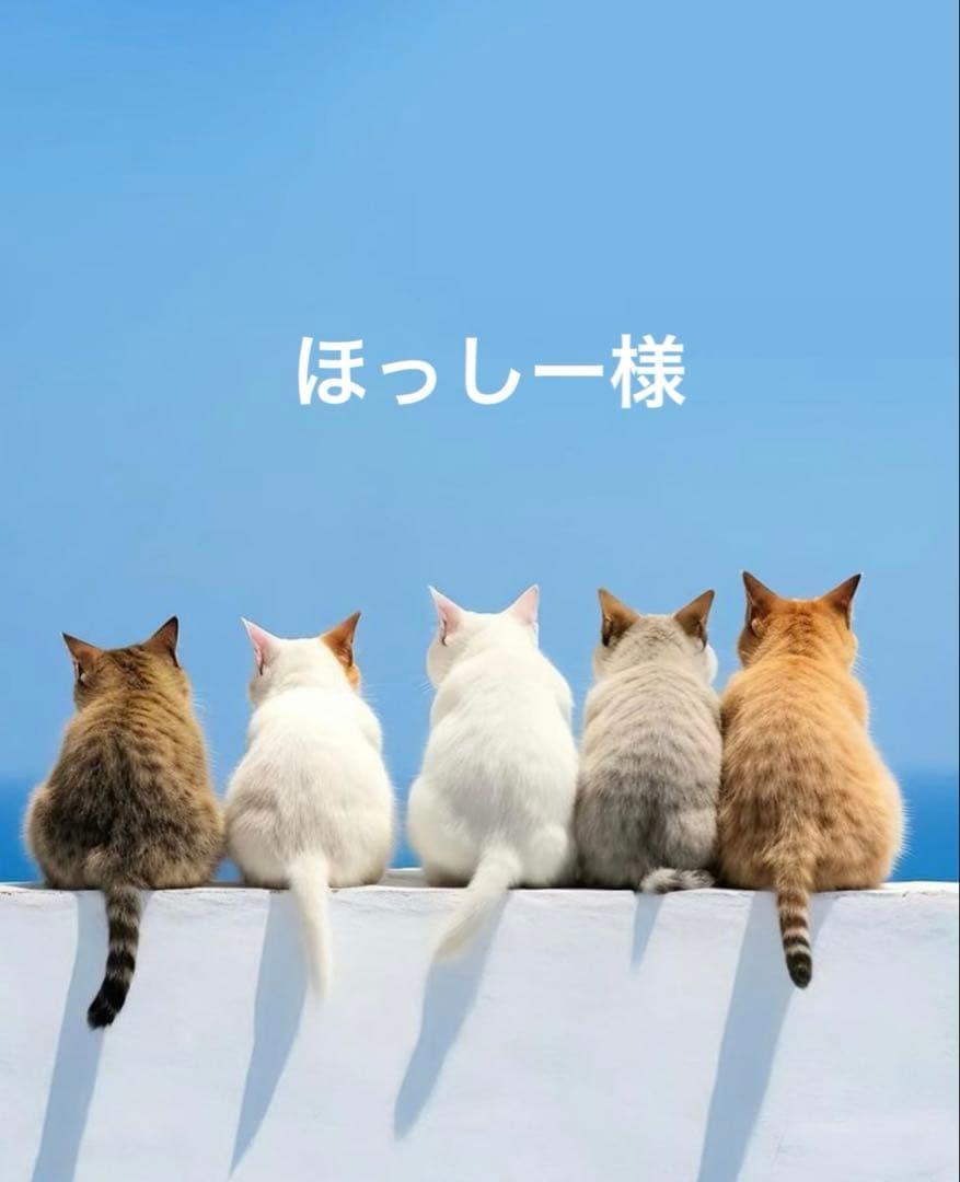 ほっしー様ꔛ‬ෆメゾンドクチュール♪。.:＊巾着トートバッグ·͜·ᰔᩚ