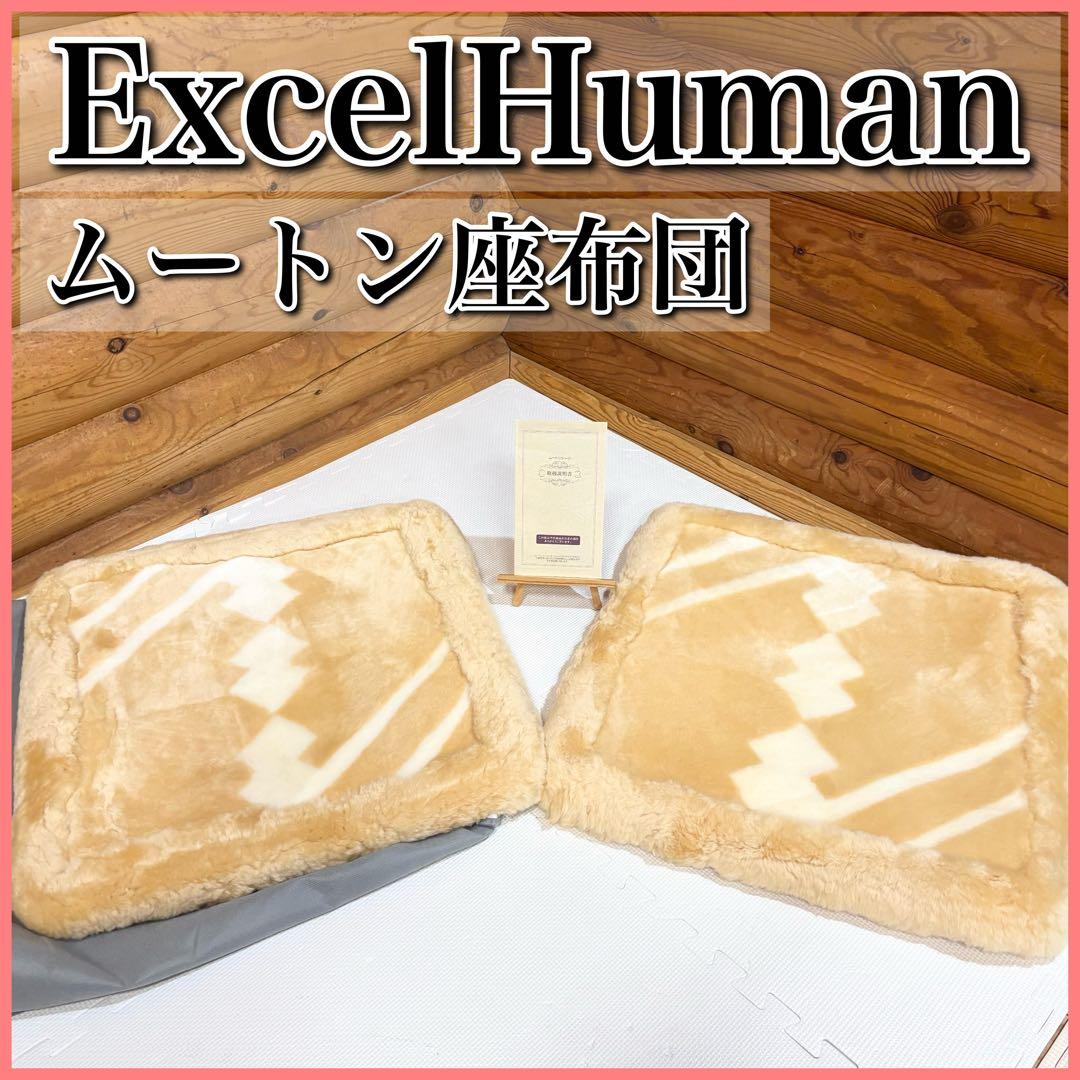 【美品】エクセルヒューマン ExcelHuman ムートン 座布団 2枚セット