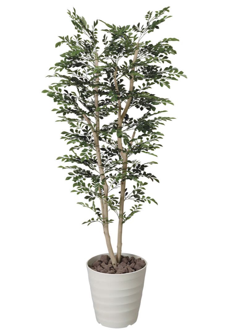 光触媒　人工観葉植物　人工観葉植物　フェイクグリーン　トネリコ1.8m