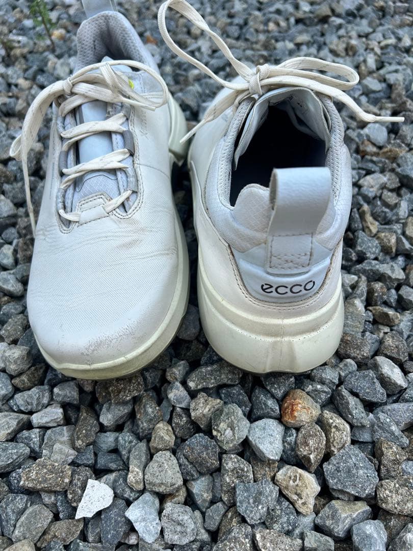 シューズ(男性用) ecco BIOM HYBRID4 H4