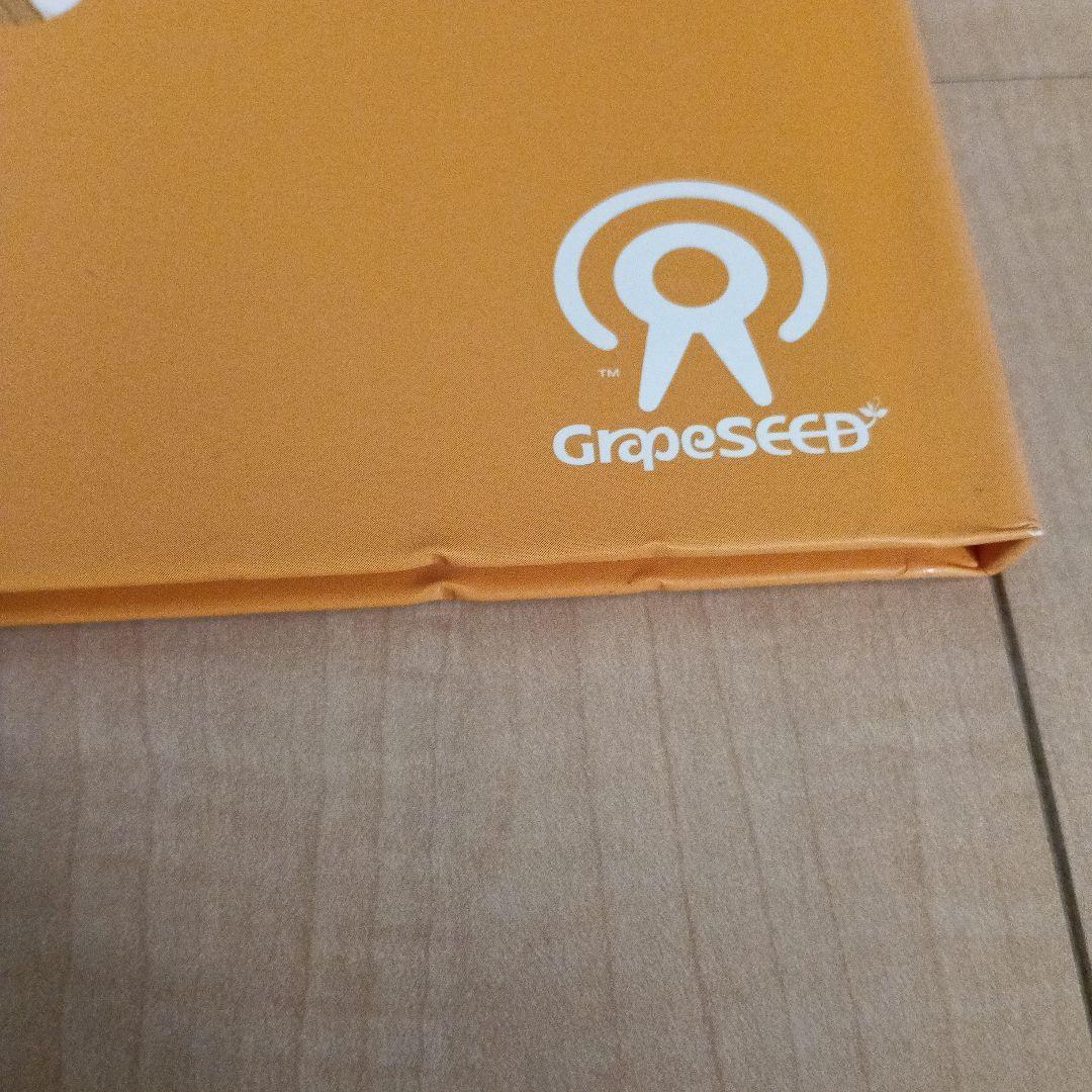 英語教材　グレーブシード　Unit 35