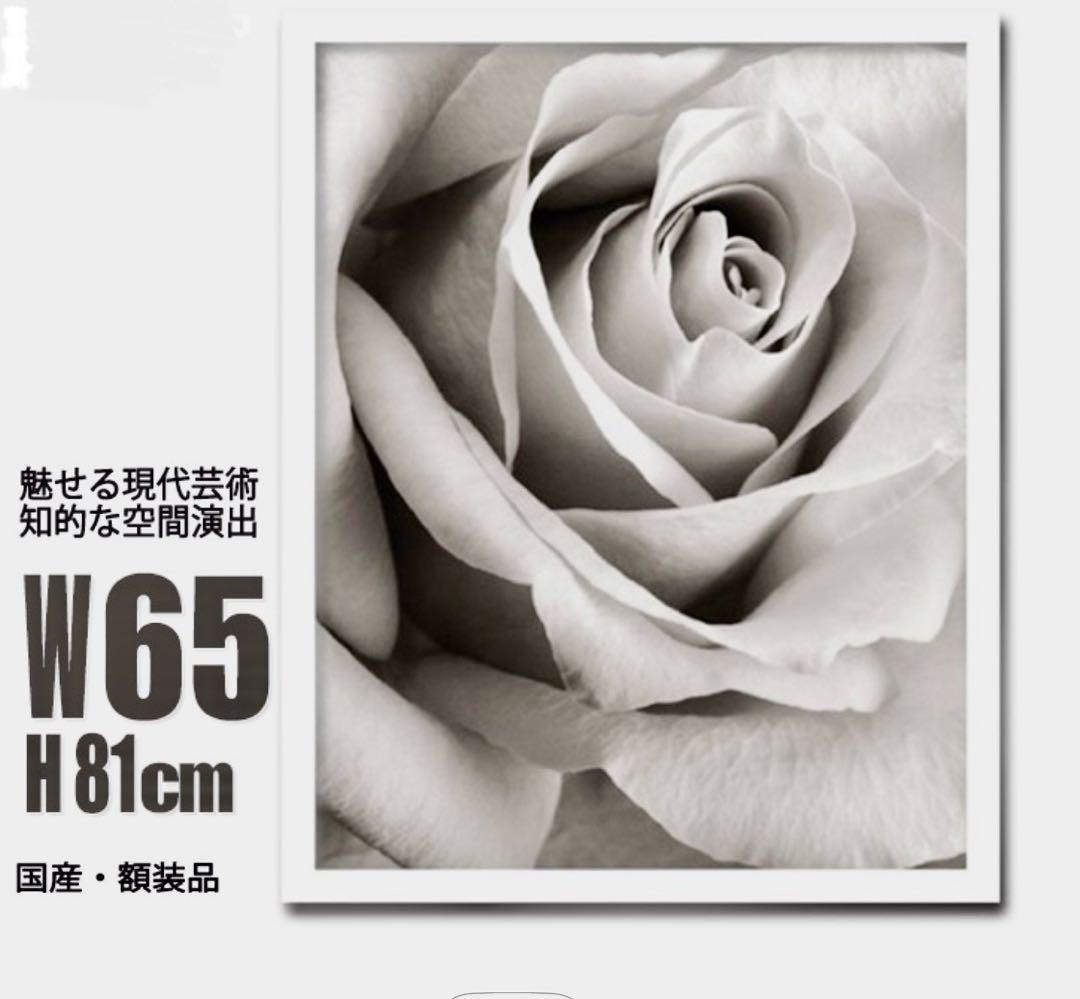 Steven N. Meyers Rose X線アート モノトーン65×81cm