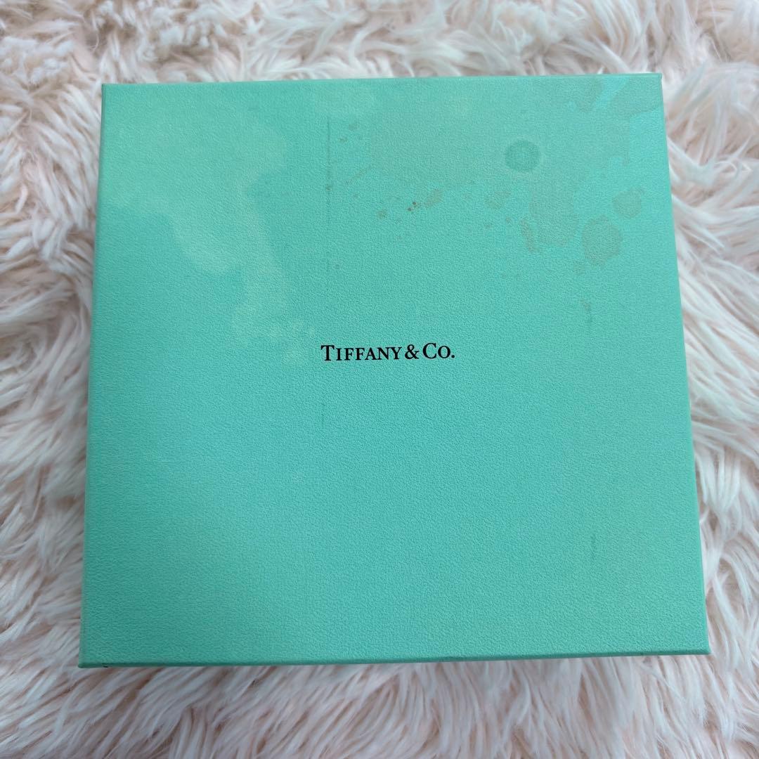 未使用級✨Tiffany レザー首輪 M プレート 金具 4段調整