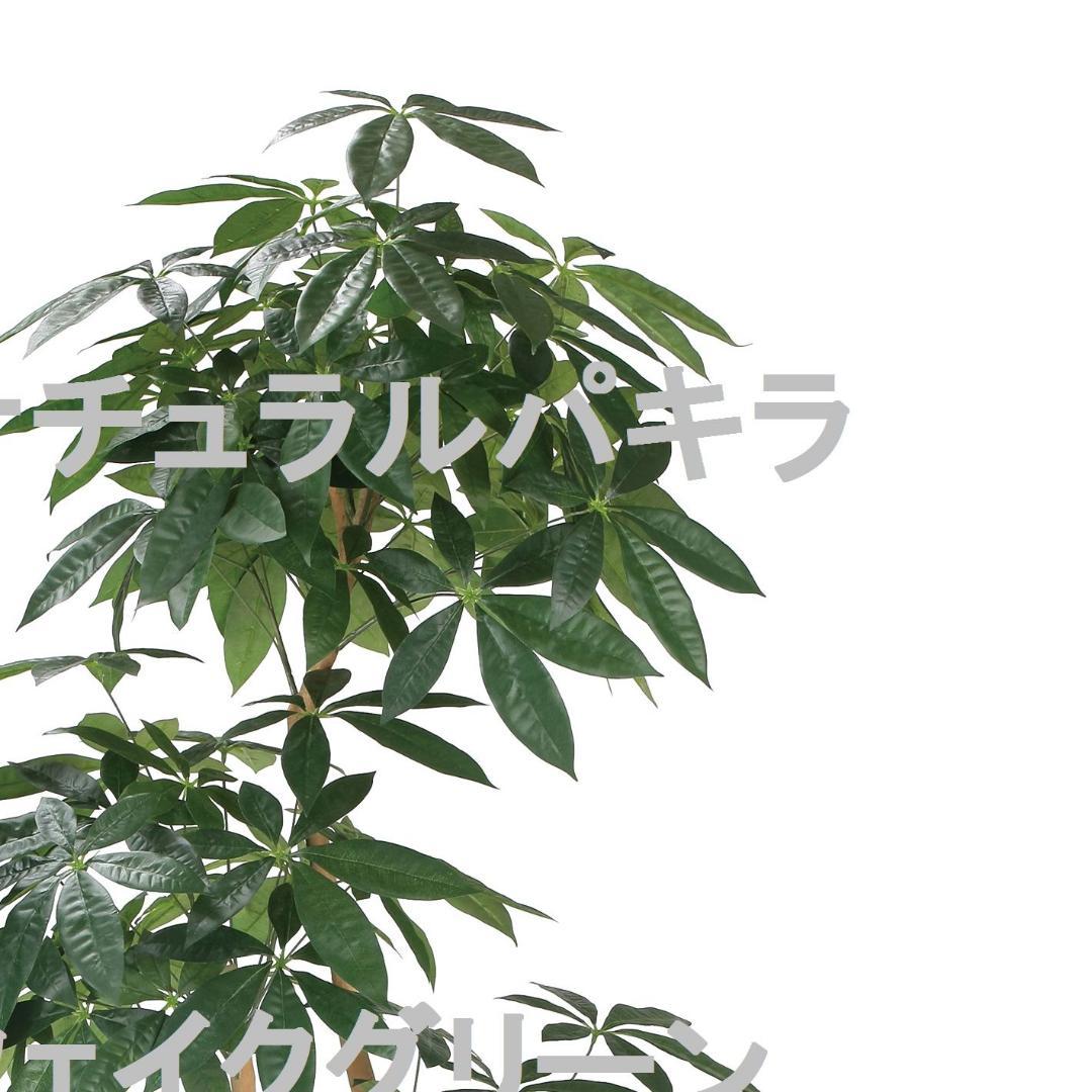 ☆日本製☆☆☆フェイクグリーン ナチュラルパキラ1.8 高さ1.8m 光の楽園