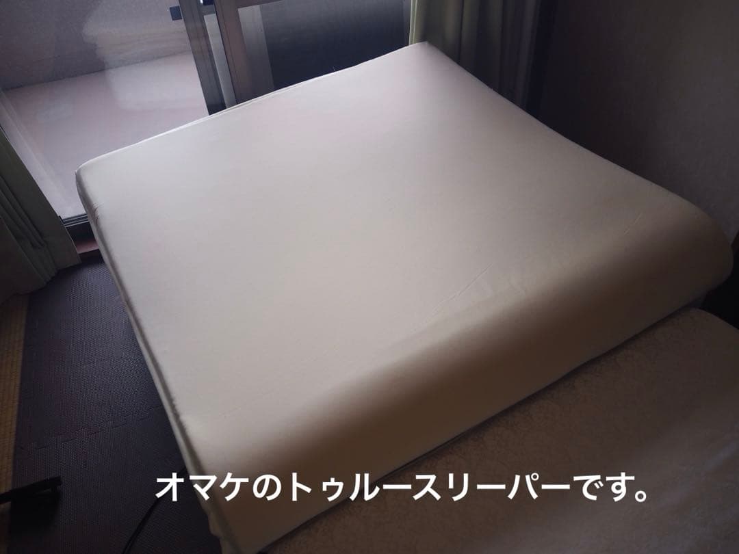 アイリスオーヤマ　ベッド シングル 折畳 電動 リクライニング　OTB-CDN