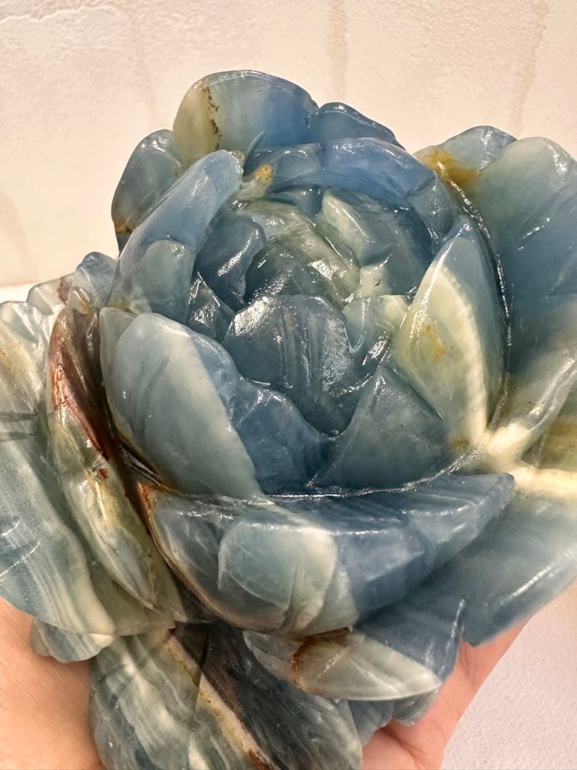 希少　ブルーオニキス　ローズ　バラ　大