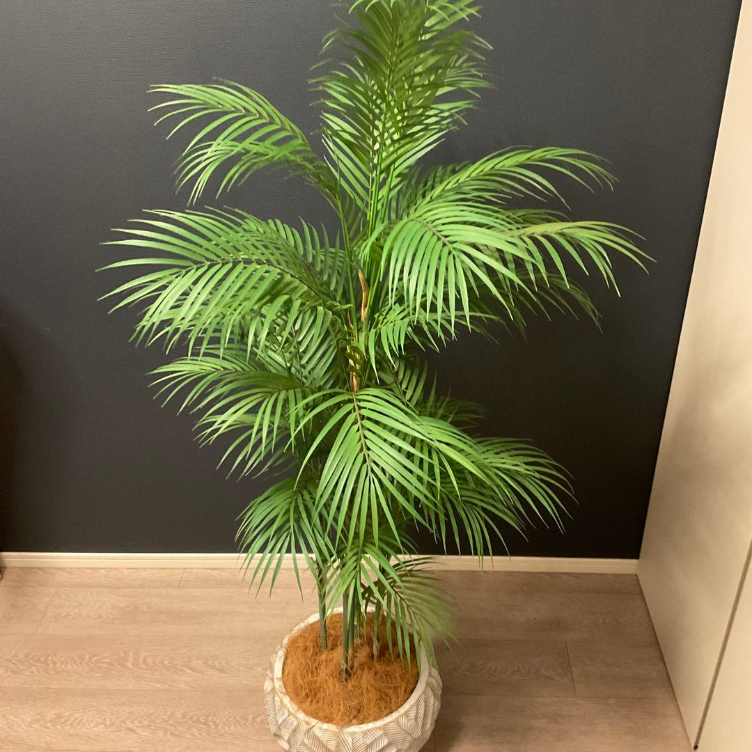 エミリオロバ　パーム　人工観葉植物