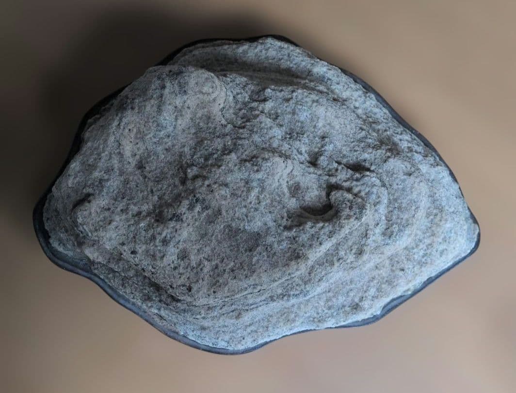 [値下げ中] 南極の石　レア　台座付き