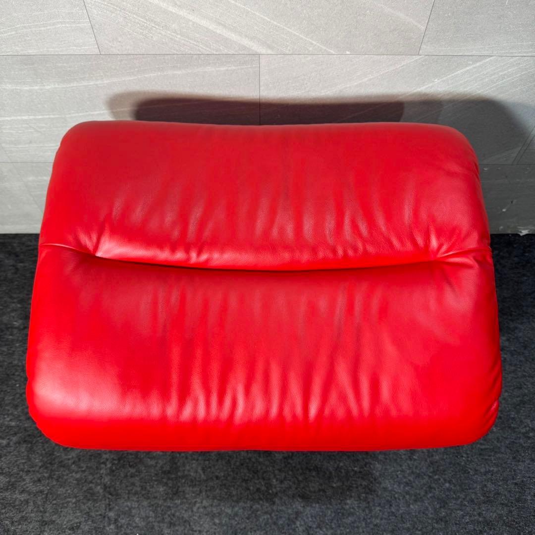 エコーネス ストレスレス チェア ビュー オットマン セット 革 d3405