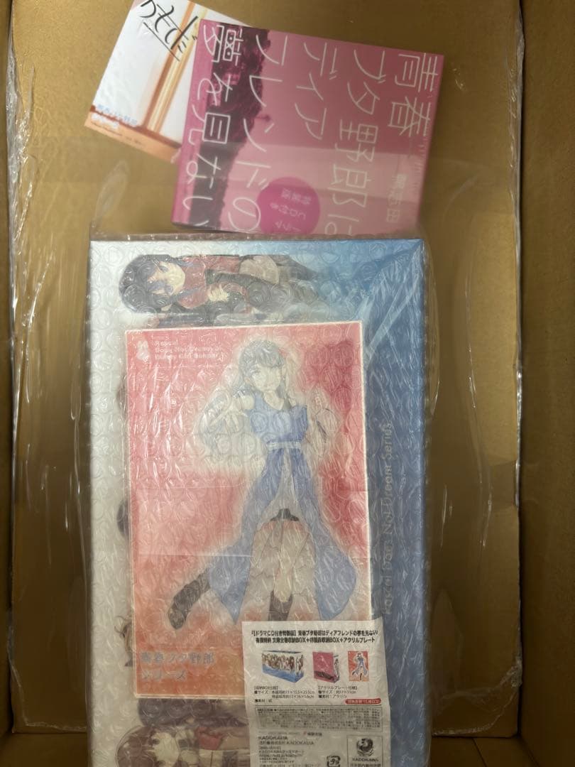 青春ブタ野郎はディアフレンドの夢を見ない 有償特典文庫全巻収納ボックス 等付き