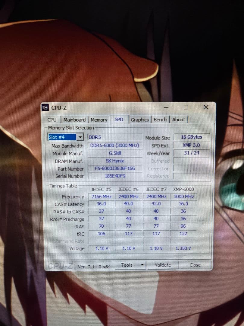 G.SKILLDDR5 32GB 6000(CL36) XMP3.0 TM5完走