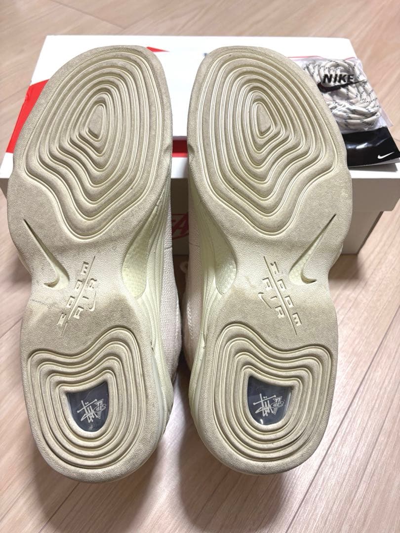 【nano】Stussy × Nike Air Penny2/29㎝