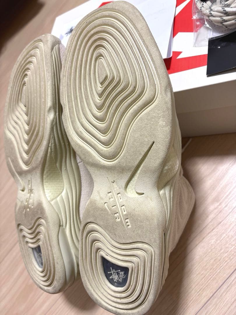 【nano】Stussy × Nike Air Penny2/29㎝
