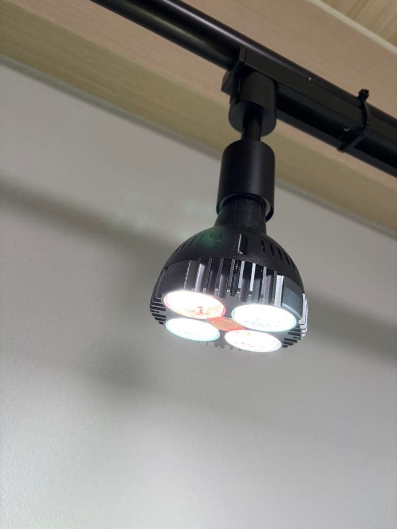 LEDSTAR P33 LED 植物育成ライト 植物　園芸　ビカクシダ　アガベ