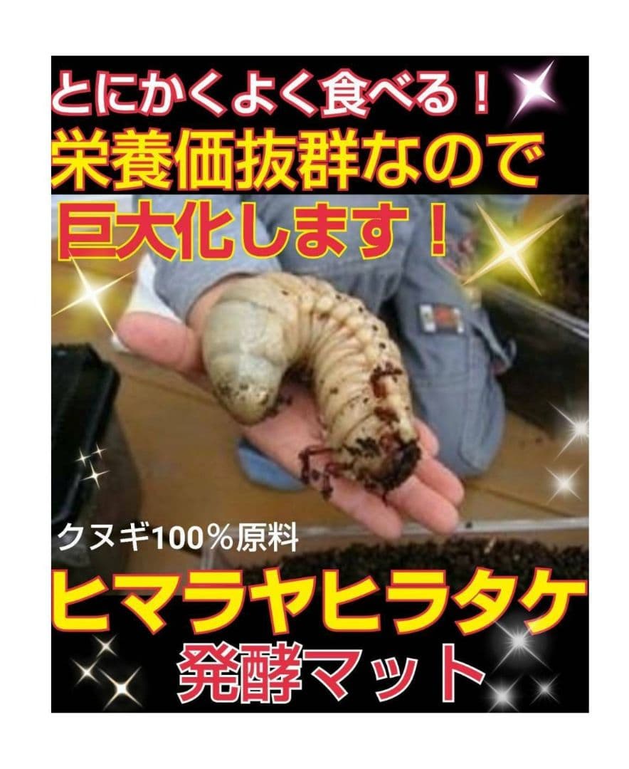 カブトムシ幼虫が大きくなる！栄養たっぷり！発酵マット【6袋】雑虫が湧きません！