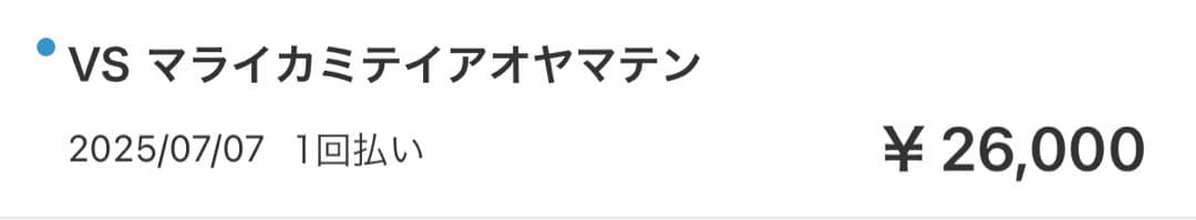 ブルースモーガン シルバーバングル インディアンジュエリー ナバホ　ブレスレット